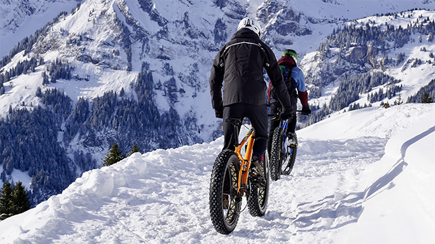 Cycle Brake Check